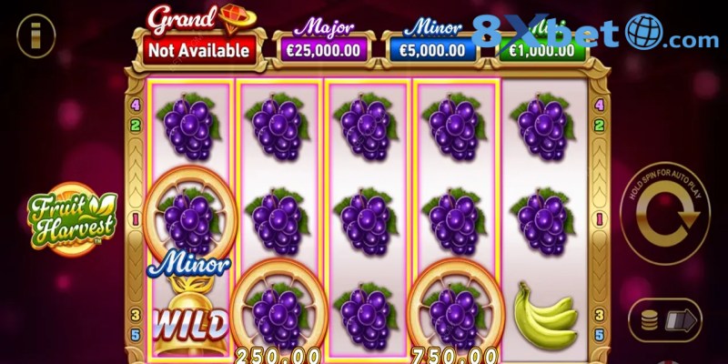 Giải mã cách hoạt động hấp dẫn của Fruit Harvest