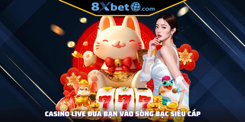 Casino Live đưa bạn vào sòng bạc siêu cấp